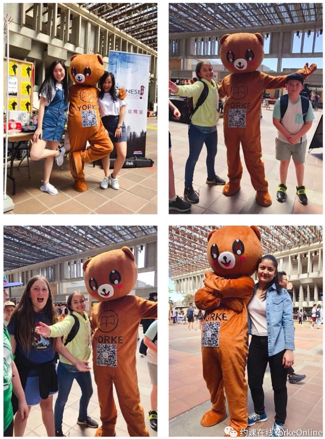 5caaa65cebac7.png image.png