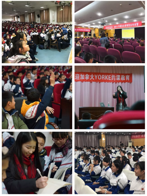 5caaa67faf686.png image.png