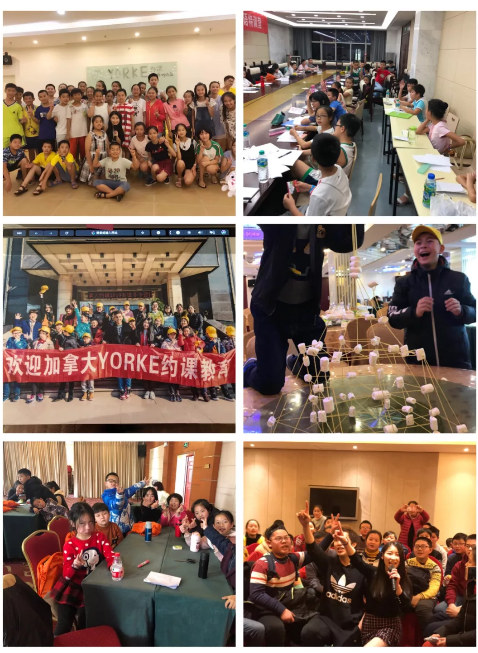 5caaa68d7b317.png image.png